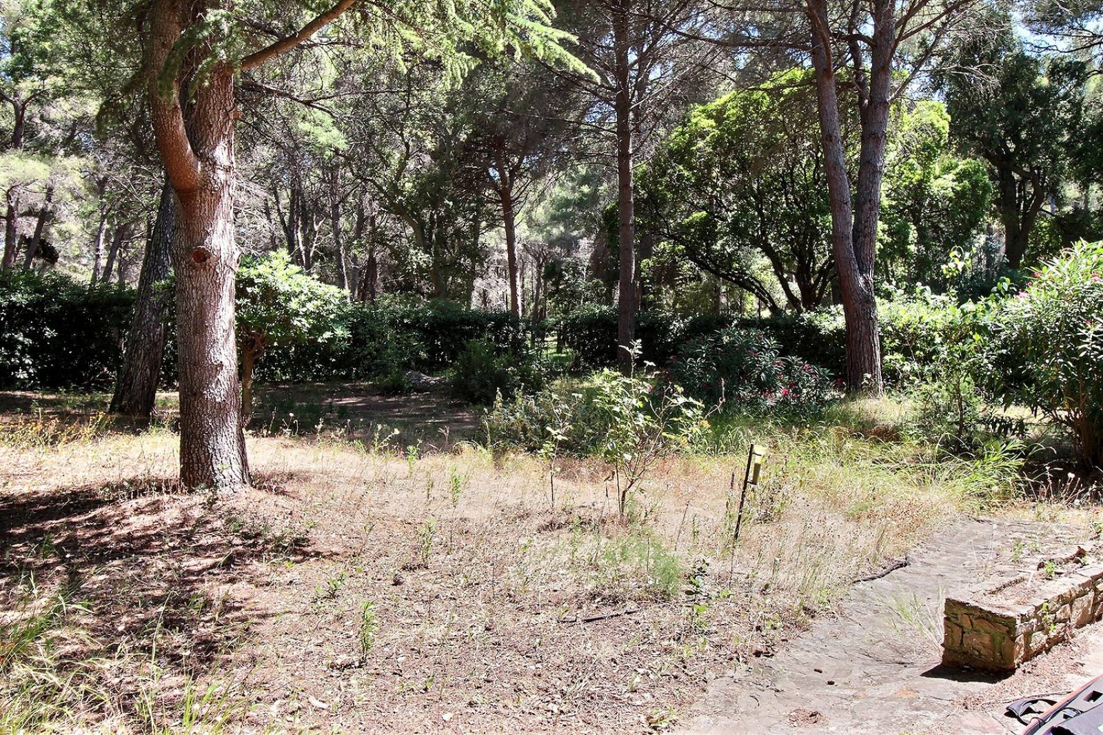 Terrain plat piscinable Cap Bénat domaine privé Bormes les Mimosas