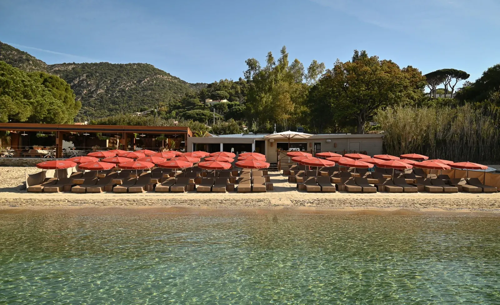 Vivez une expérience culinaire inoubliable les pieds dans le sable au Lavandou, sur la plage de La Fossette