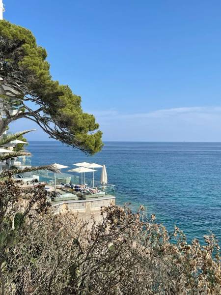 Dynamisme Économique et Attractivité Immobilière sur la Côte d'Azur