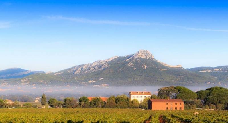 Domaine Viticole Noire à Carqueiranne Le Château de la Tulipe