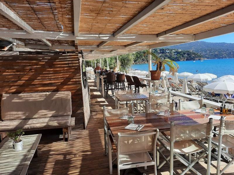 Découvrez Tamaris Plage à Pramousquier au Lavandou : cuisine provençale, loisirs nautiques et cadre exceptionnel en bord de mer